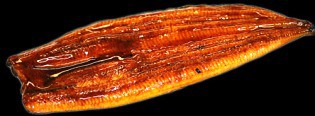 UNAGI O ANGUILA